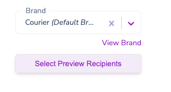 Email Preview Will Send a Mock Preference URL